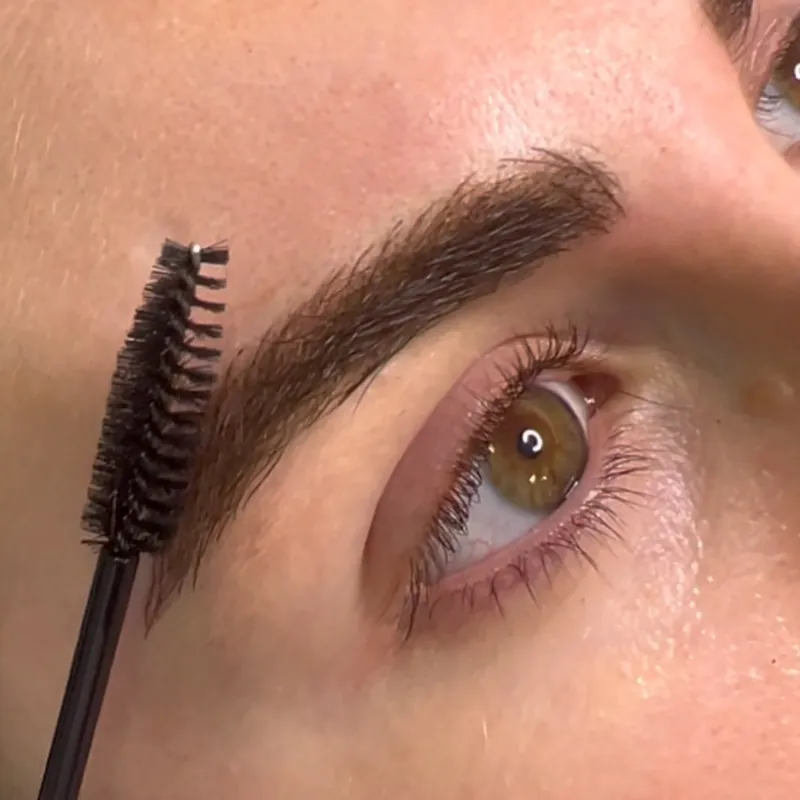 Ceja peinada con un cepillo de cejas
